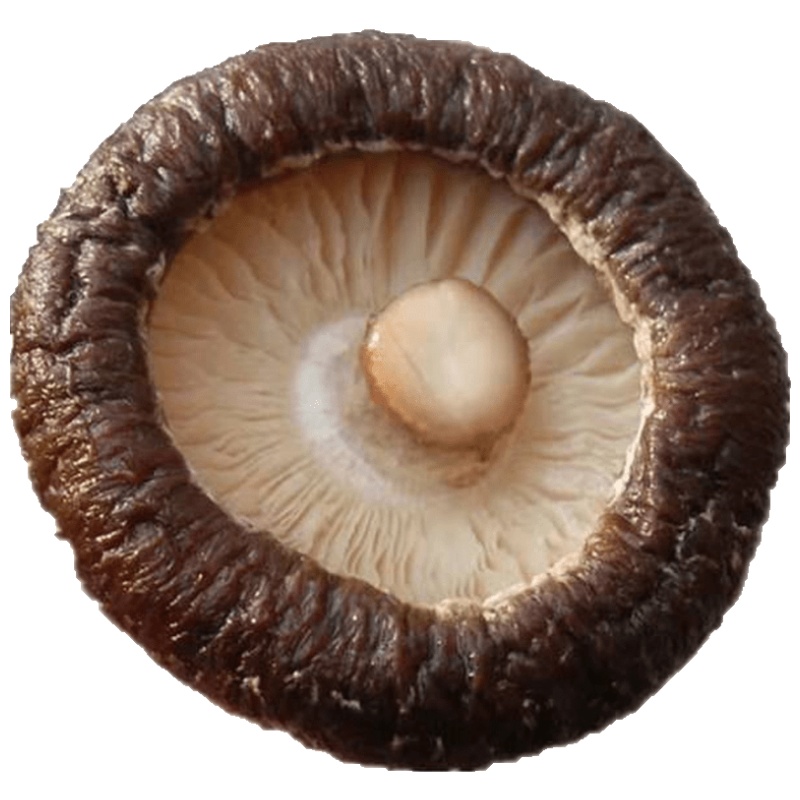 香菇干货 农家无根干香菇新货小蘑菇精选冬菇家用香菇250克土特产