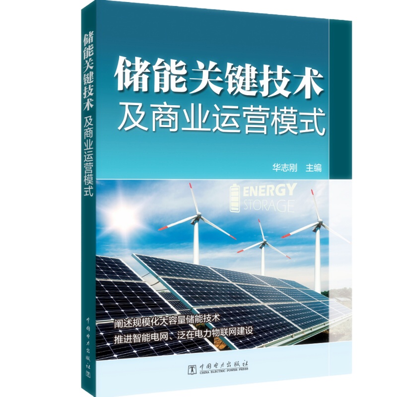 天星 储能关键技术及商业运营模式