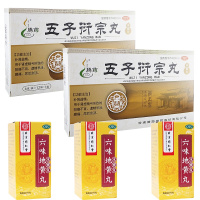 3盒 北京同仁堂六味地黄丸(水蜜丸)360粒/盒+ 2盒 五子衍宗丸12袋 滋阴补肾益精