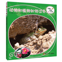 幼儿园开学用品套餐MQ-009(详见清单)