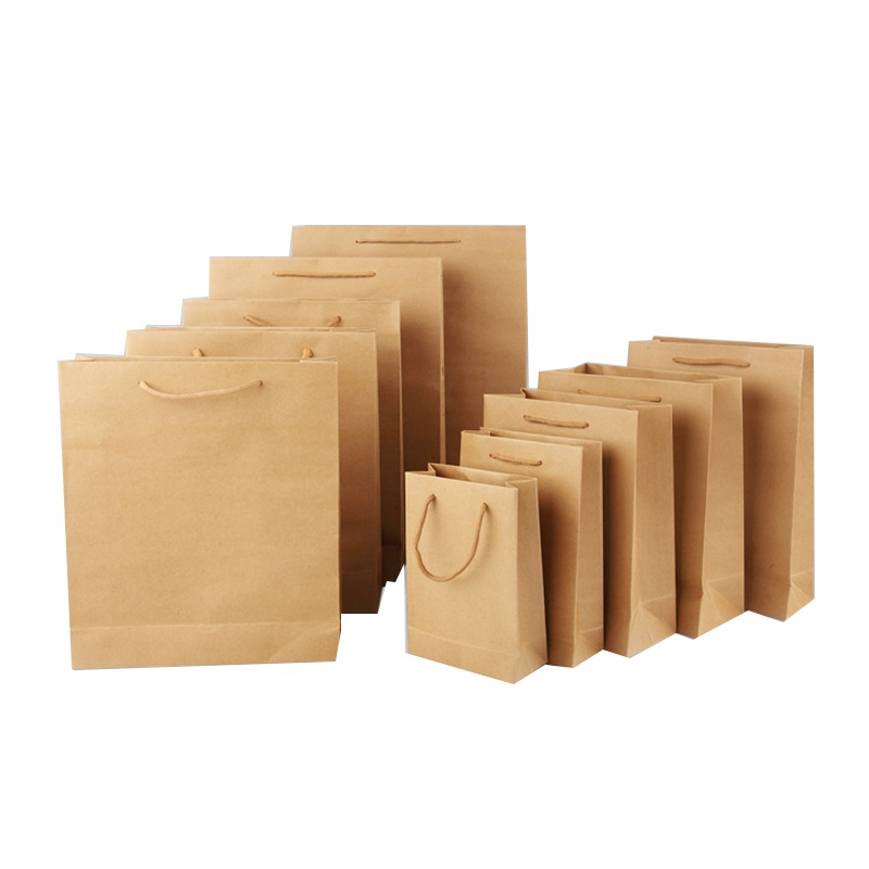 天章办公 纸袋 250g牛皮纸手提袋 竖版 手提绳 440*320*110 100个 标准品(定制另算)