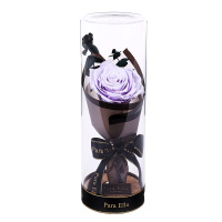 Para Ella 010系列彩灯许愿瓶浅紫玫瑰花永生花礼盒鲜花速递女神节创意礼物情人节礼物生日结婚纪念日礼物送女生女友