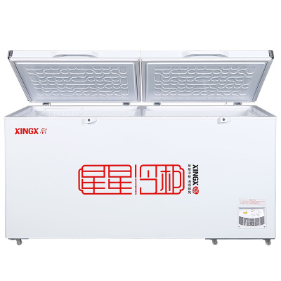 星星(Xingx)BD/BC-898GE冰柜865升冷柜厨房商用保鲜设备卧式大容量冷藏冷冻转换单温冰柜一级能耗