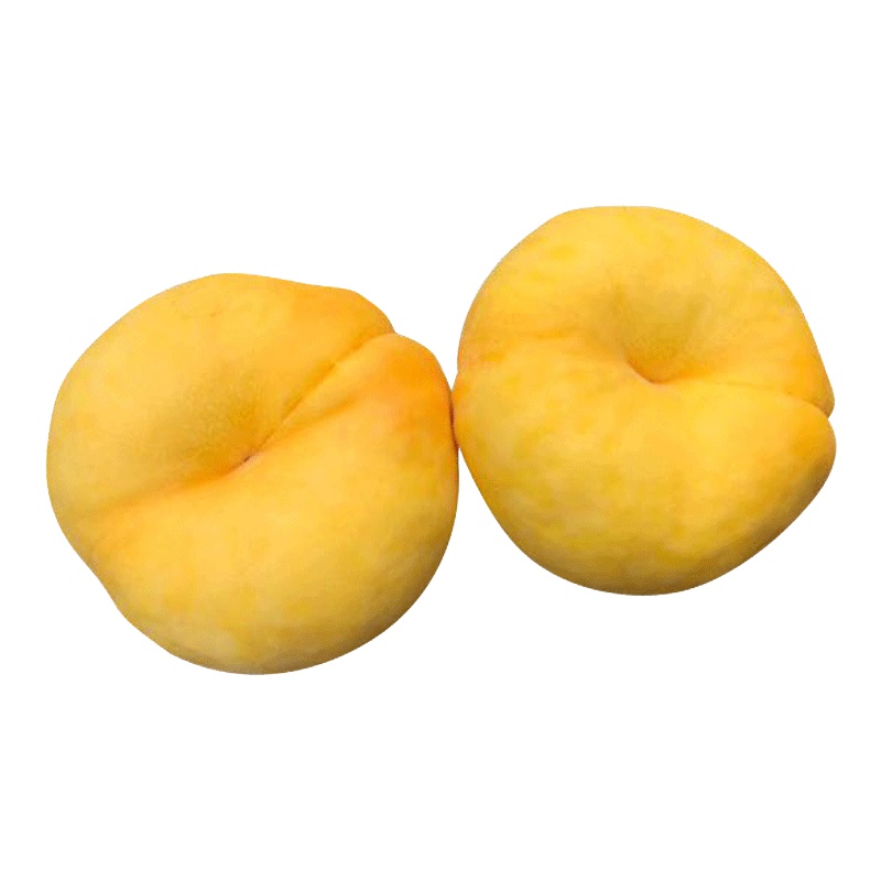 蒙阴纯甜黄金毛蟠桃5斤装12个左右 新鲜水果 现摘现发应季