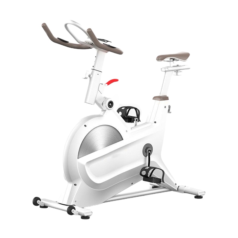 澳柯玛(AUCMA)亿健动感单车家用减肥器材静音磁控健身车尊享版灰-8档磁控阻力-12斤飞轮-200斤承重