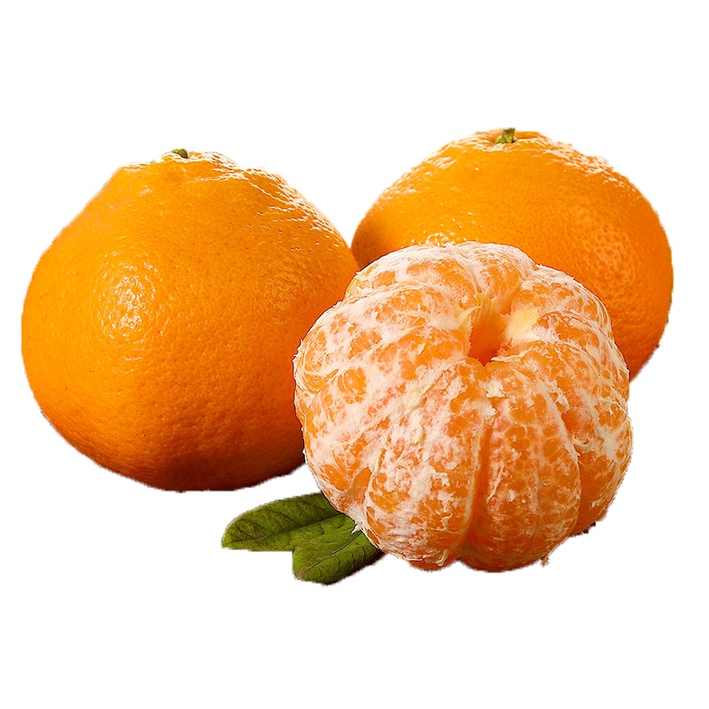 四川春见粑粑柑 净重7.6-8斤 精选大果 18个以内 新鲜水果