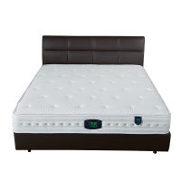 1917成人白提花天然乳胶软硬适中无干扰弹簧床垫