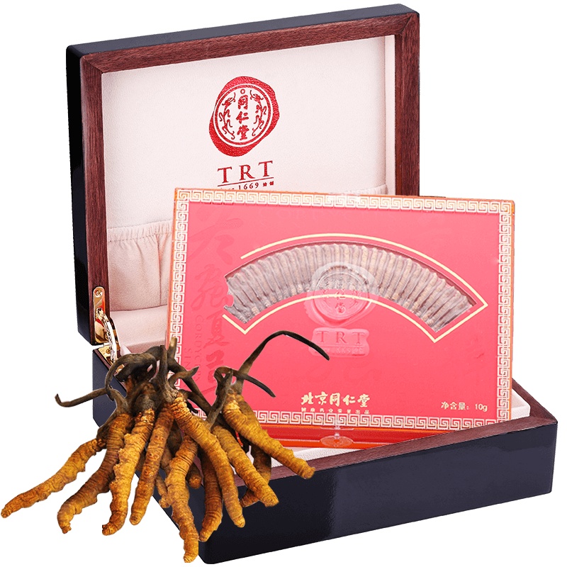 北京同仁堂冬虫夏草40/10g