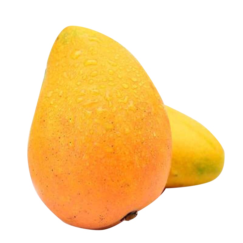 大唐果园小台芒果 1500g