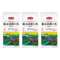 燕之坊 鲜知臻食 黄小米475g*3袋 精选优质产地 品质粗粮保障 ZX
