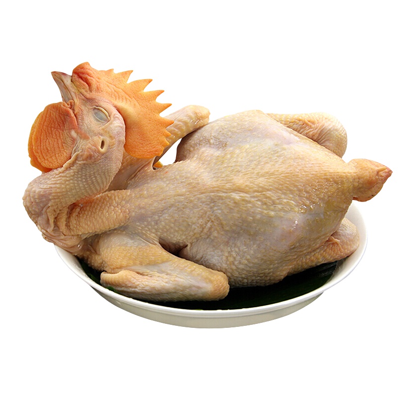 温氏供港农养鸡 800g/只 烧公鸡 高品质供港散养大公鸡整只鸡肉