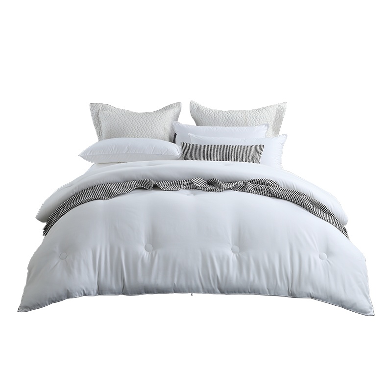 Lapasiòn五星级酒店被子秋冬季被芯磨毛加厚保暖棉被仿鹅绒冬被家用