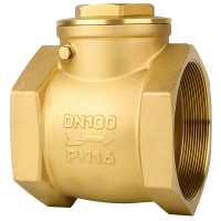 海斯迪克 gnjz-20 黄铜内螺纹止回阀 硬密封内丝隔膜 卧式旋启式手动逆止阀单向阀 DN100 4