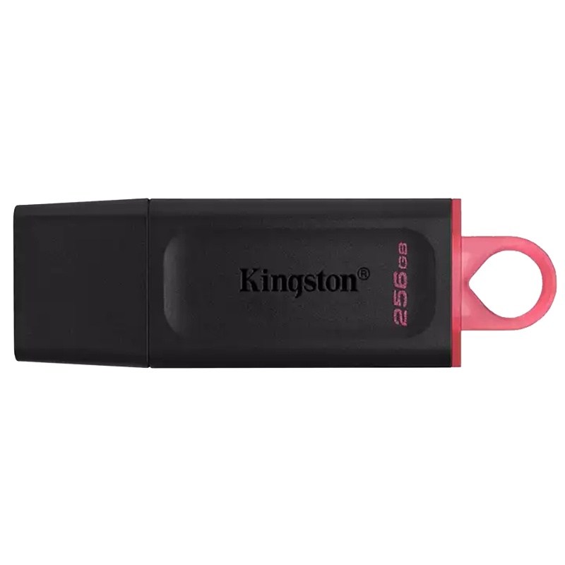 [免邮]金士顿(Kingston)256GB U盘 DTX USB3.2 Gen 1黑色