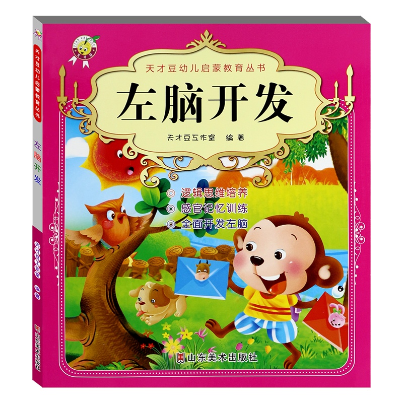 幼儿启蒙教育丛书 左脑开发 3-6岁幼儿左脑开发早教学习思维游戏智力开发专注力思维训练