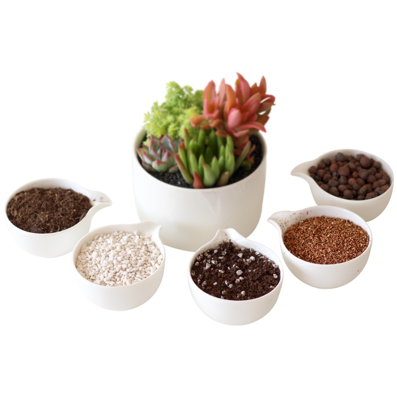 津沽园艺 蛭石 花卉植物介质 无土栽培基质