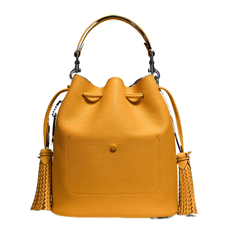 Coach(专柜) 女士黄色皮革斜挎包 单肩包 651V5POE