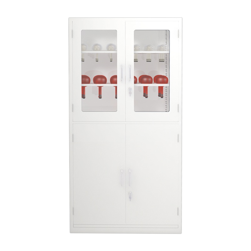 振奥 器皿柜铁皮柜试剂柜实验室化学品安全柜防腐蚀柜仪器柜样品柜 通玻器皿柜