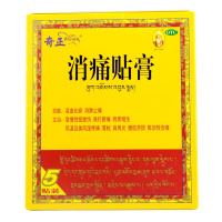 奇正 消痛贴膏 5贴/盒 风湿疼痛 活血化瘀 消肿止痛骨质增生 肩周炎 腰肌劳损风湿骨痛药正品