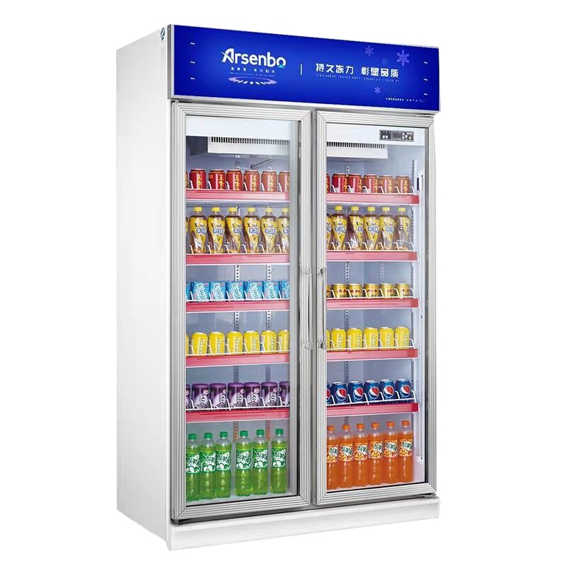 雅绅宝(Arsenbo)饮料展示柜冷藏立式冰柜商用保鲜柜超市双门冷柜水果柜风冷无霜 标准款500L[风冷无霜]