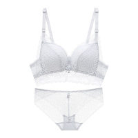 都市丽人舒适性感浪漫蕾丝绣花边无钢圈深V聚拢清爽女士文胸胸罩内衣1B9607