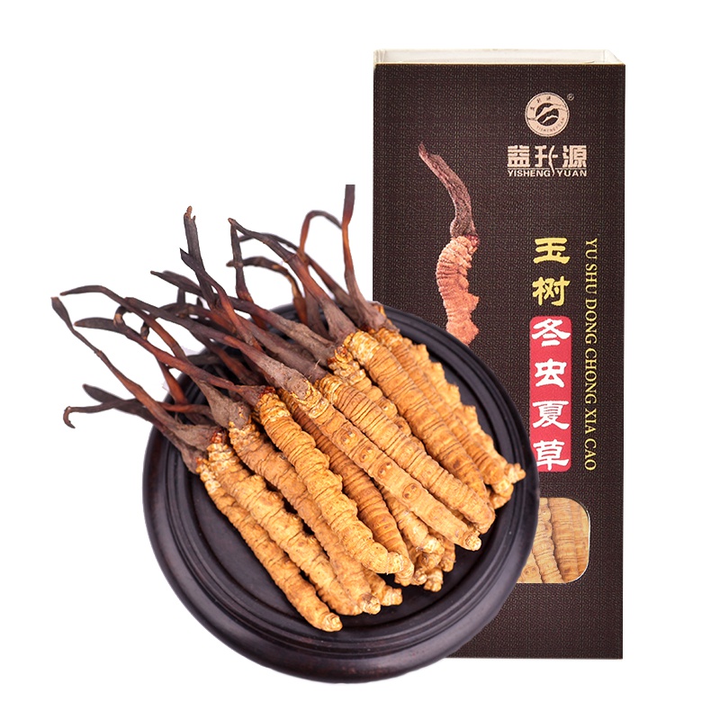 益升源玉树冬虫夏草4根1克野生那曲冬虫草东礼盒正品2g鲜虫草西藏