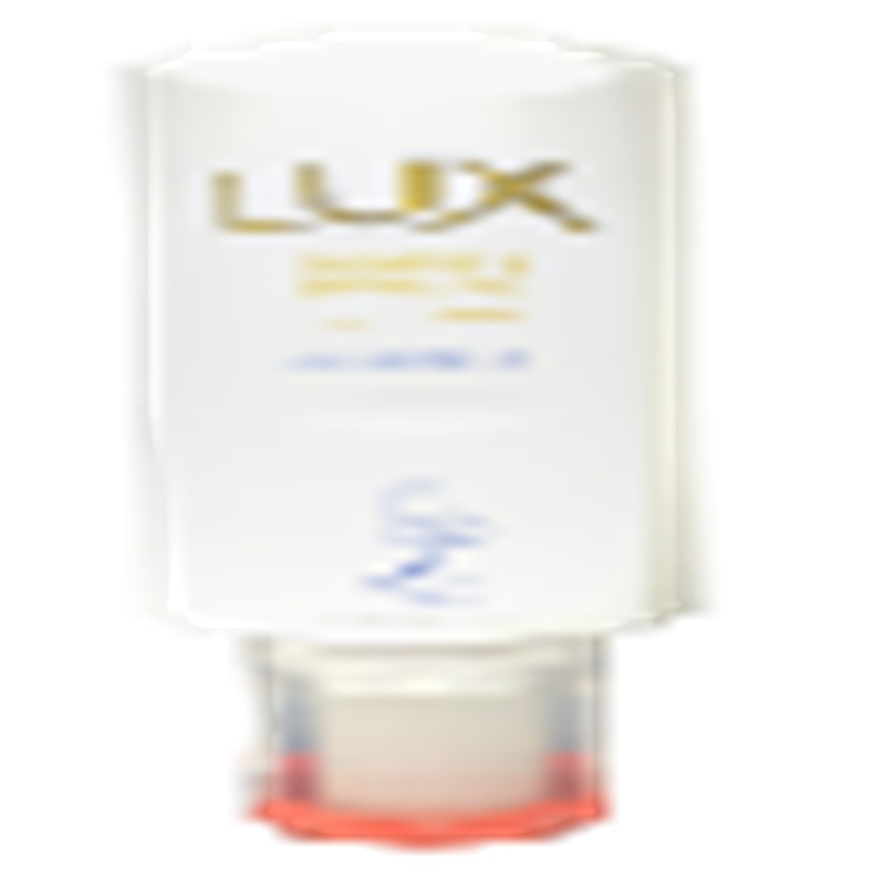 泰华施Diversey 100855915 力士洗发沐浴二合一 28 x 300mL