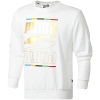 PUMA彪马男装运动服休闲圆领卫衣585267