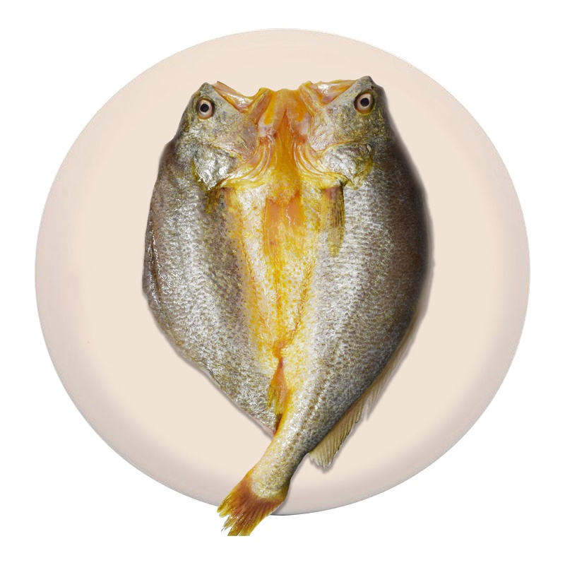 [免邮!满99减20]千渔旺 冷冻无公害新鲜大黄花鱼300g 1条/袋 鲜活海捕鱼类黄花鱼 去鳞去鳃去内脏 海鲜水产