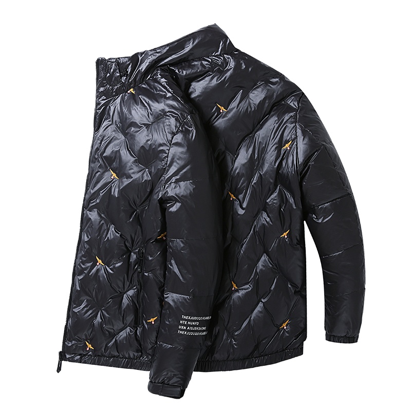 FORTEI富铤 男士绣花时尚休闲短款羽绒服2019冬季新品