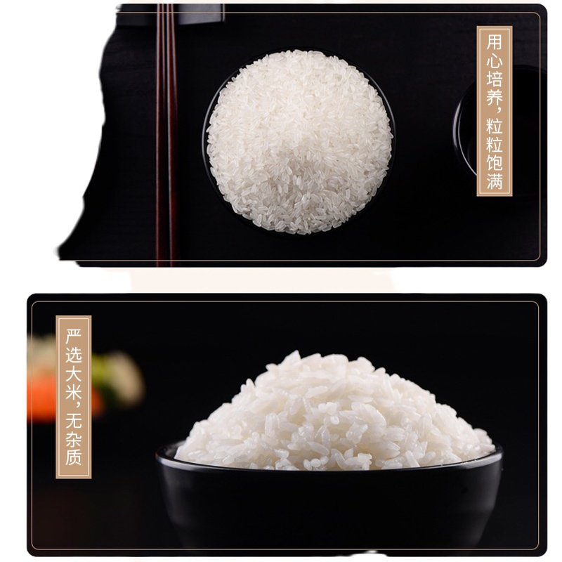 禾圣农 五常大米 5kg 单袋装