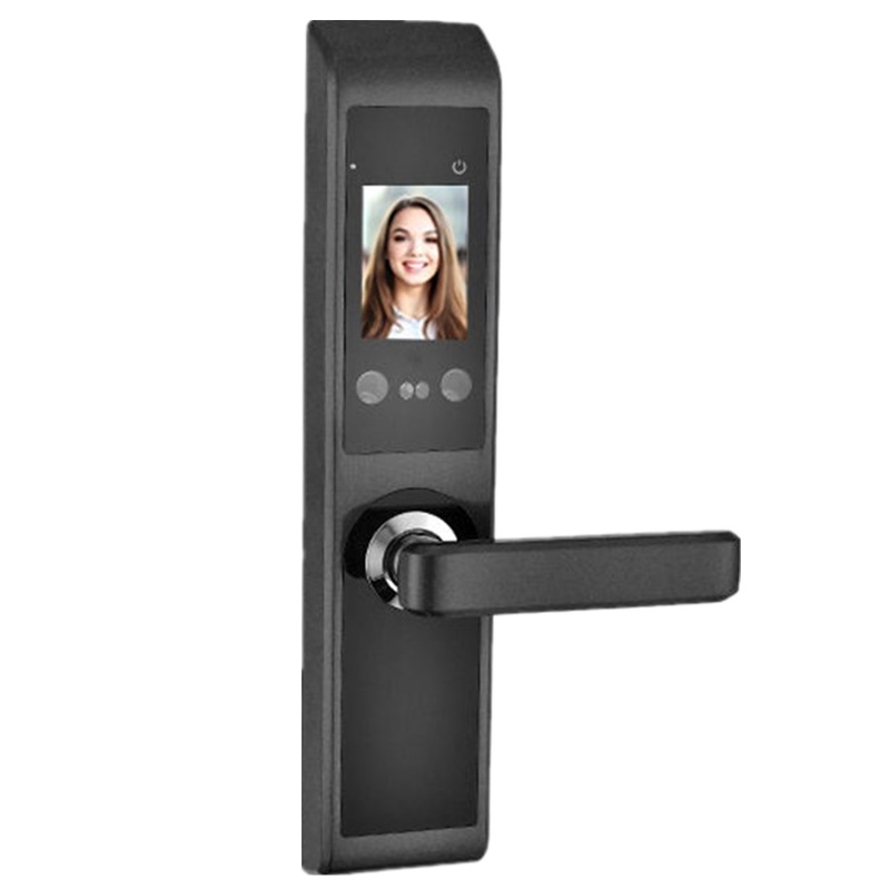人脸识别门锁密码刷卡指纹锁升级款智能防盗安全大门人脸掌纹锁 黑色 上门安装