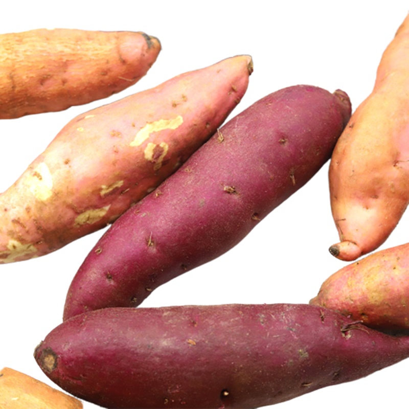 广西三江同乐乡地保村(贫困村) 农民自种高山红薯 紫心黄心白心 5斤混合装  48小时内发货