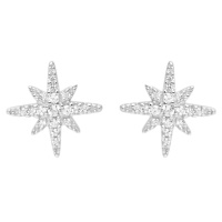 APM MONACO 迷你闪烁星星银质耳钉 AE8419OX
