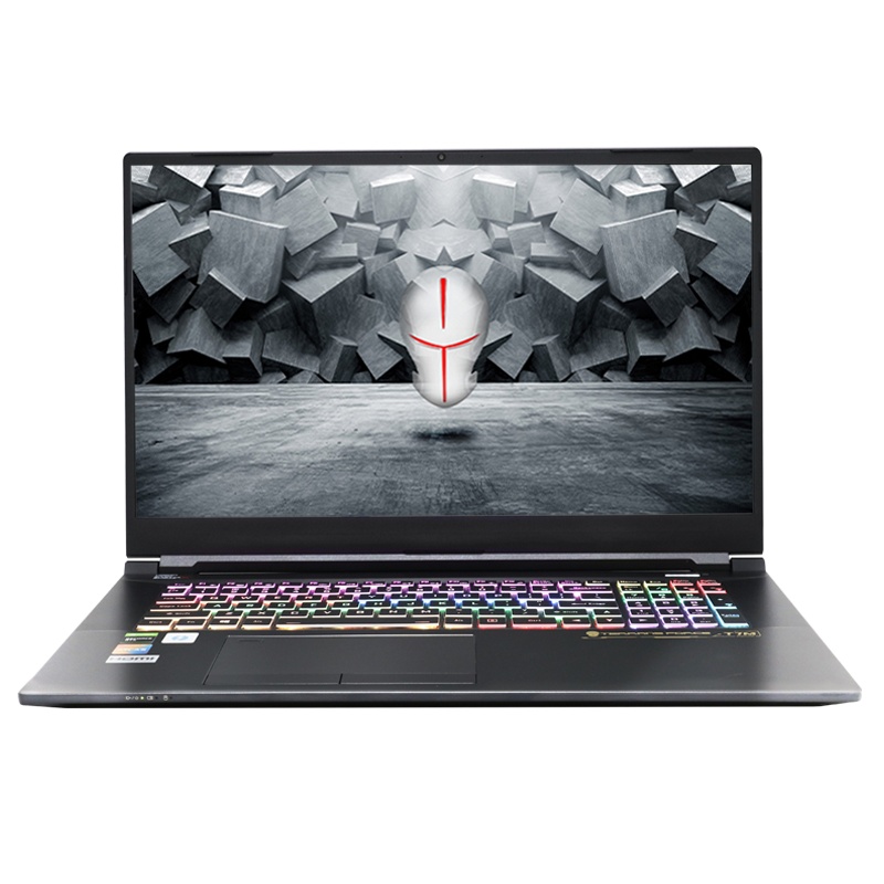 未来人类T7M-26X7S1游戏本17.3英寸笔记本电脑2060显卡十代i7-10750H处理器1TPCIe大容量固态雷电3接口Killer网卡学生轻薄便携高性能设计绘图渲染笔记本