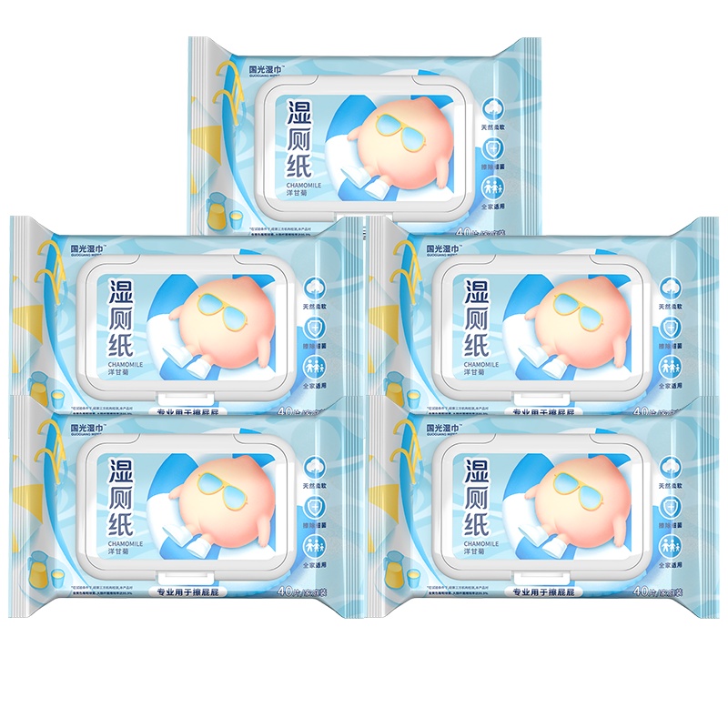 国光湿厕纸40片*5家庭实惠装私处卫生清洁擦屁股湿巾厕所如厕便携湿纸巾