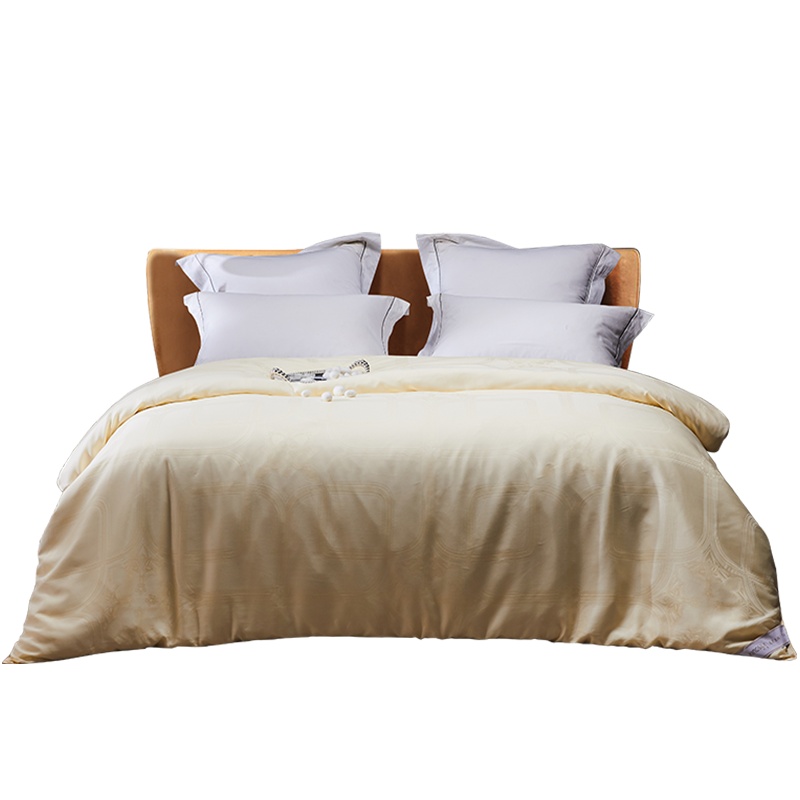 钱皇100%桑蚕长丝被 黄金蚕丝被 春夏保暖冬被 天丝睡眠被子被芯