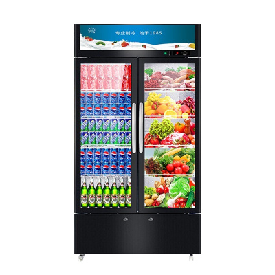 冰熊(bing xiong)LC-520(A)升展示柜商用大容积 立式玻璃冷藏陈列柜 双门饮料酸奶超市便利店冷柜冰柜