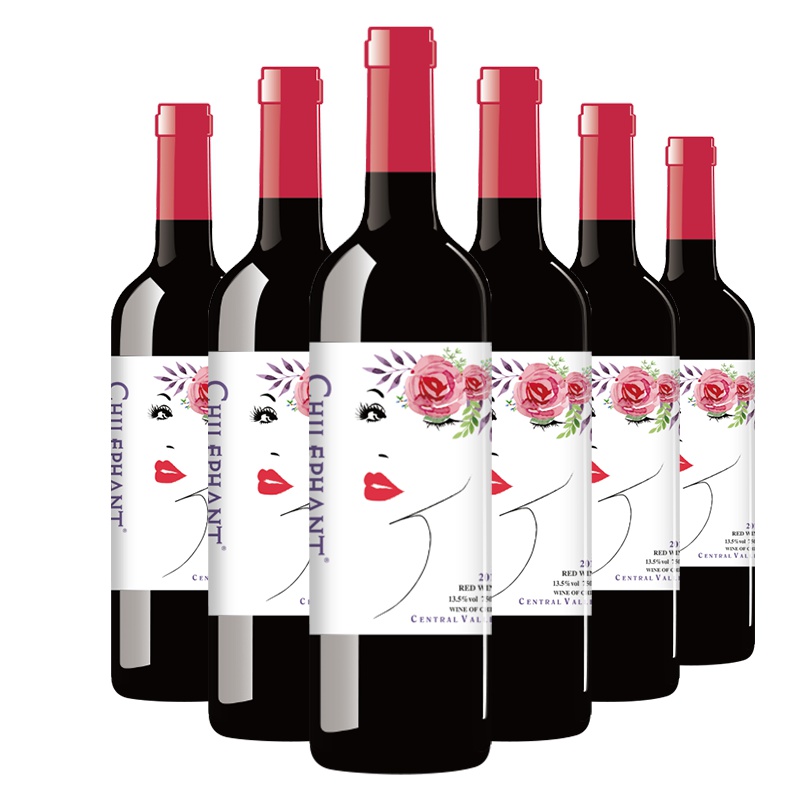 智利进口红酒 智象爱莎干红葡萄酒750ml*6整箱装