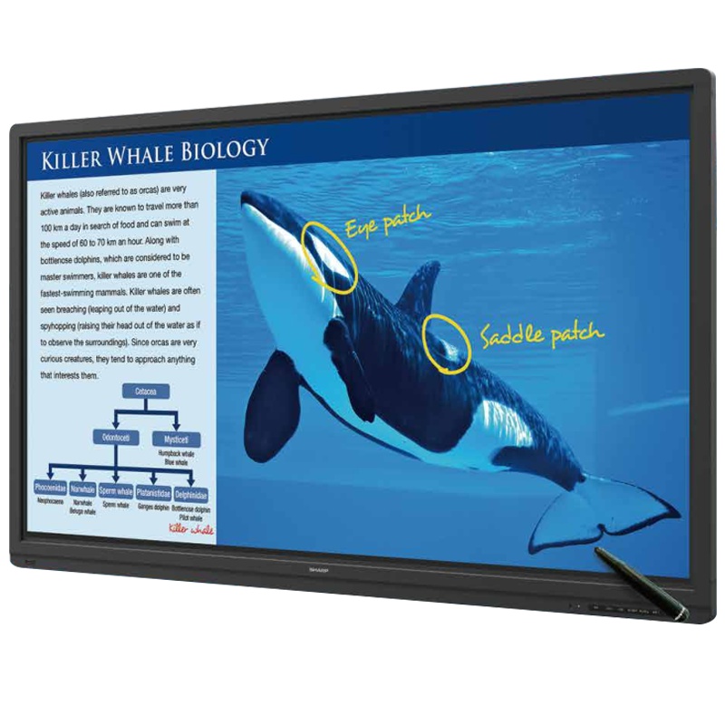 夏普PN-SC701AA01 70寸智能会议触摸电子白板多媒体教学投影一体机智能投影屏3840*2160,5000:1