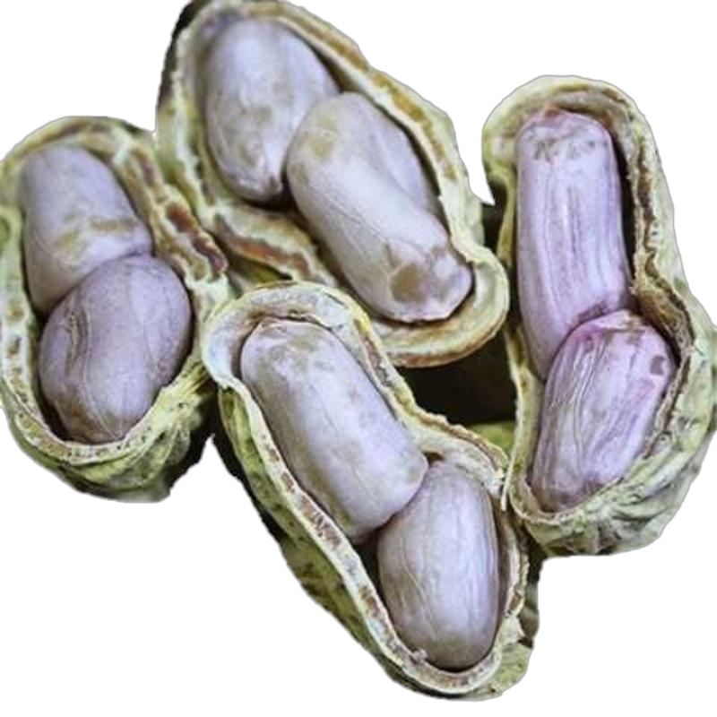 花生蒜香五香水煮白晒水煮白晒特价1000g