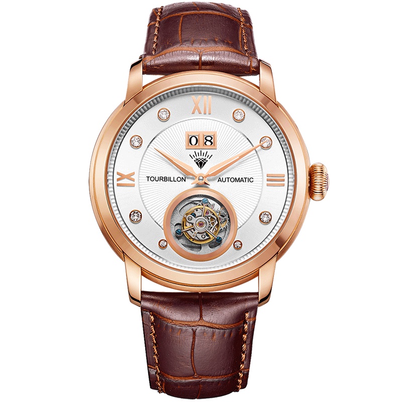 钻石牌（DIAMOND)手表天晷系列男士陀飞轮自动机械表牛皮带机械表TB003中心式