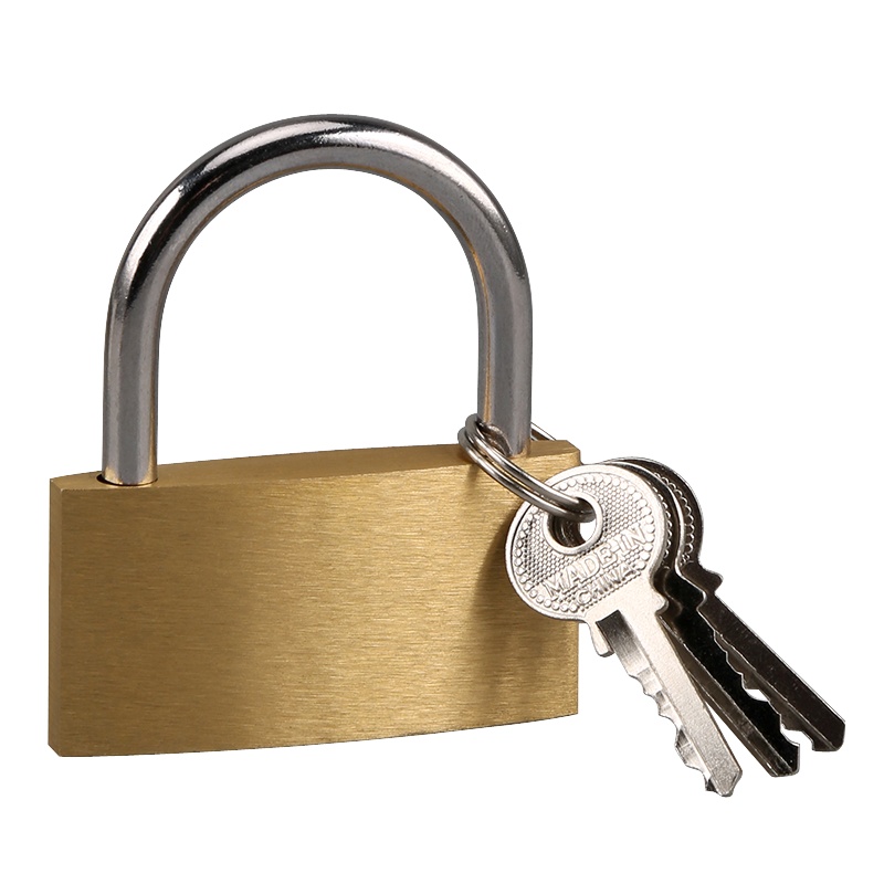 赛拓(SANTO) 铜挂锁 宿舍家用门锁 防盗窗锁 水电表箱锁 抽屉旅行箱包锁60mm 0056-T可定制通开100把起