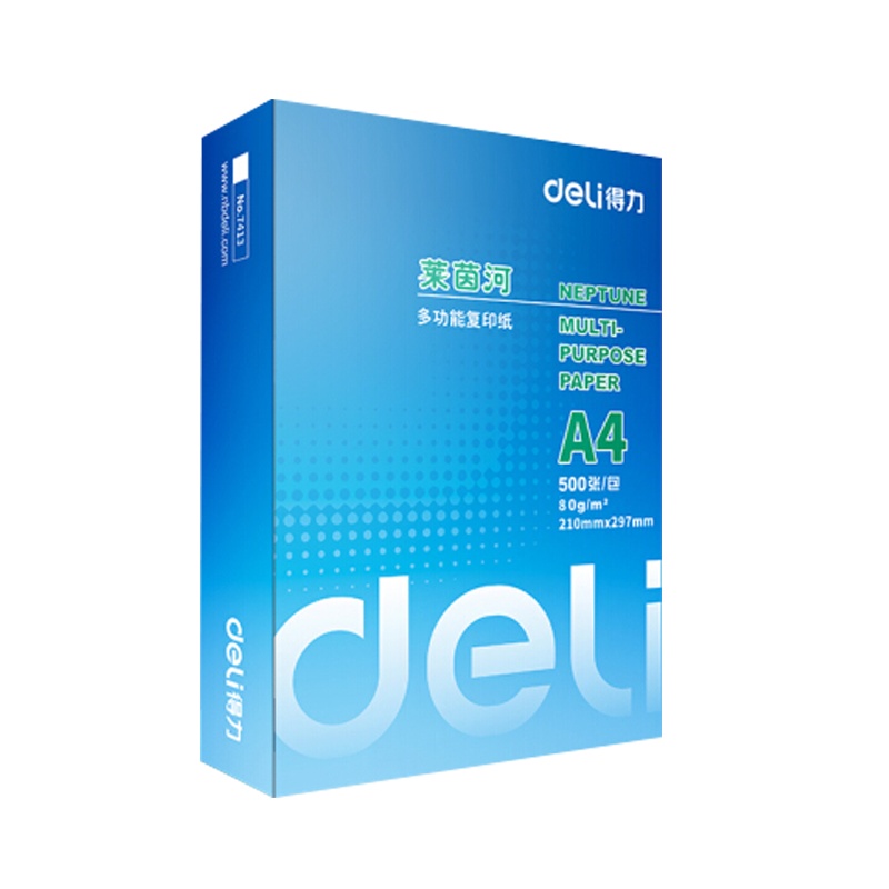 得力7419 莱茵河复印纸 a4打印纸 a4纸 80克 A4打印纸白纸 5包/箱