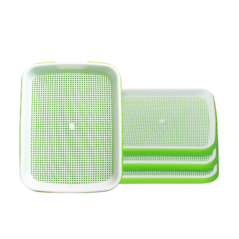 恭喜发菜芽苗菜