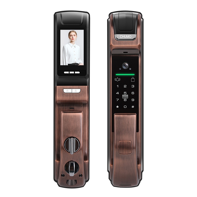 威龙原子全自动指纹锁家用防盗门智能锁密码门锁远程开启高清监控抓拍通用高精度密码锁带入户灯指纹锁