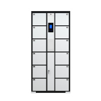 DXBG电子存包柜人脸识别存取柜商场超市智能储物柜人脸识别储物柜人脸识别存包柜