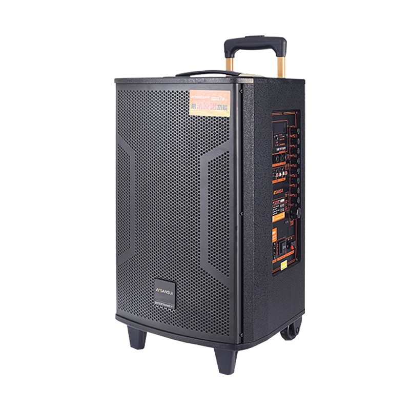 山水(SANSUI) SA5-10广场舞音响户外拉杆大功率便携式移动蓝牙音箱直播K歌会议重低音带双无线话筒麦克风