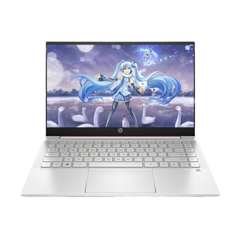 惠普(HP)星14 14英寸高颜值学生办公网课轻薄本笔记本电脑(i5-1155G7 8G 1TB固态 高色域 B&O音效 AI智能语音)月光银 定制版