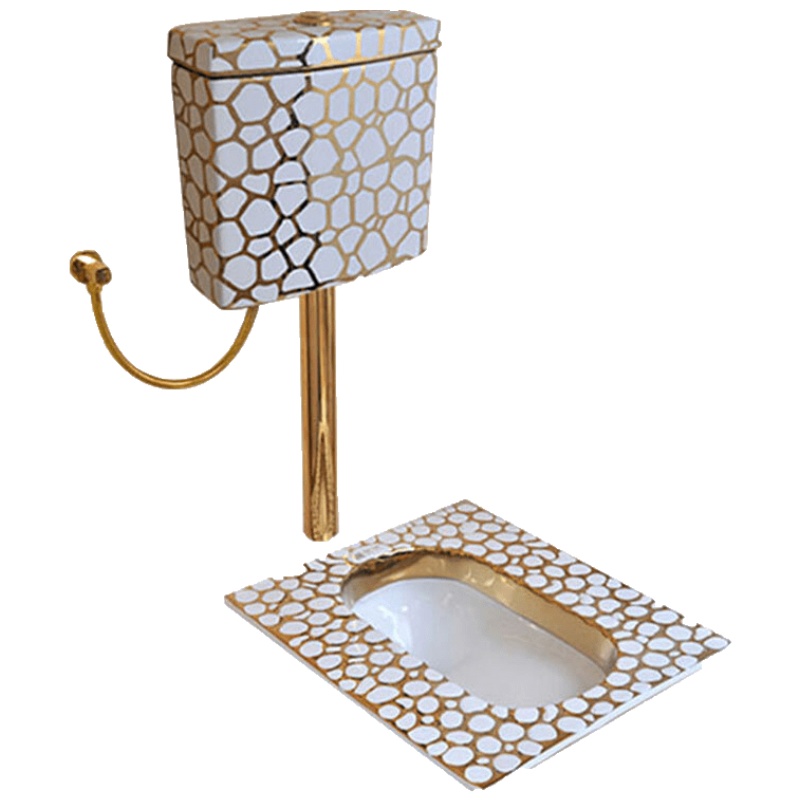 金色蹲便器水箱套装卫生间蹲厕防臭飞机厕陶瓷蹲坑整套大便池安心抵